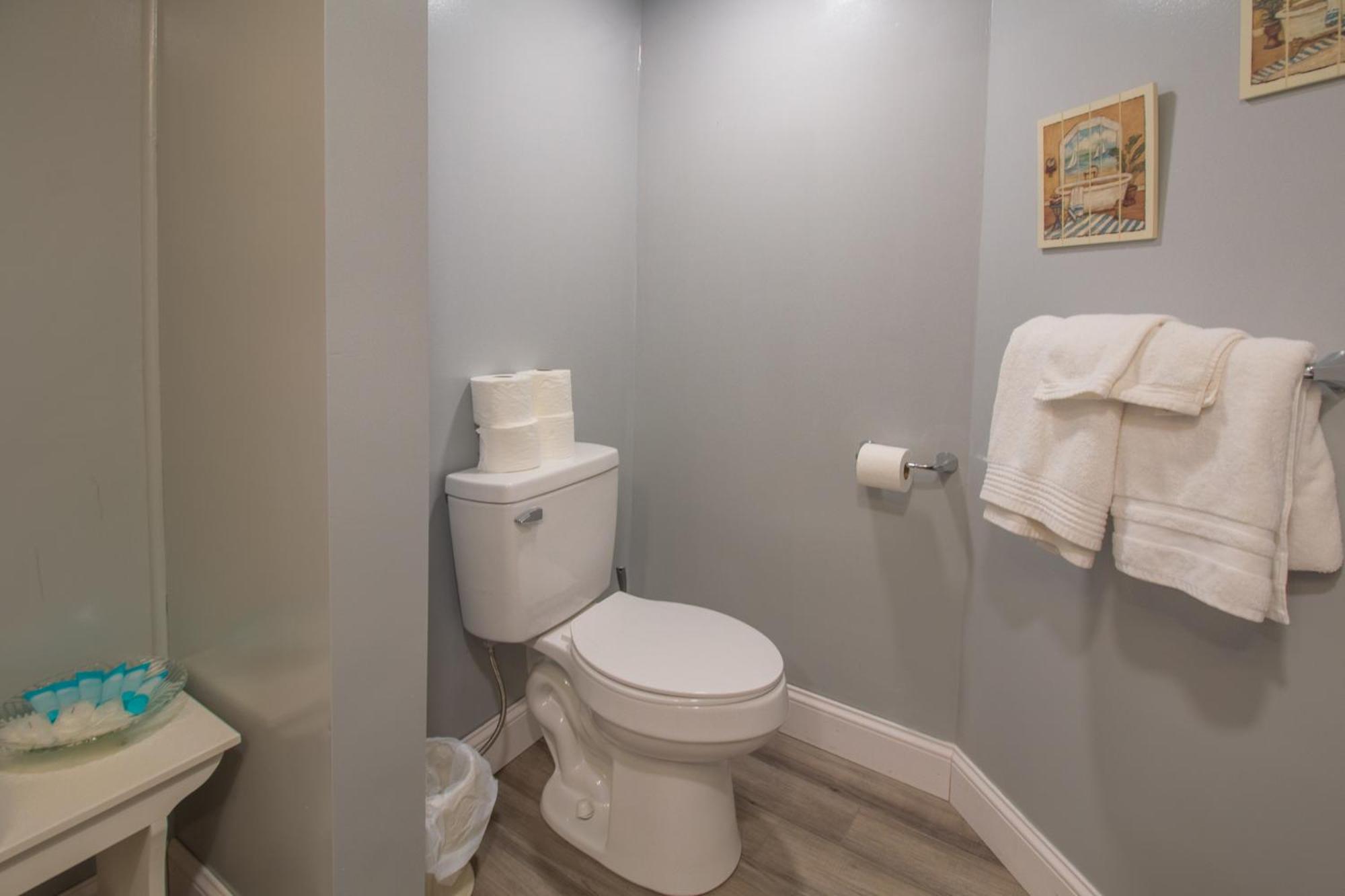 Stay In Ohiopyle In Town By The Gap Trail Extérieur photo