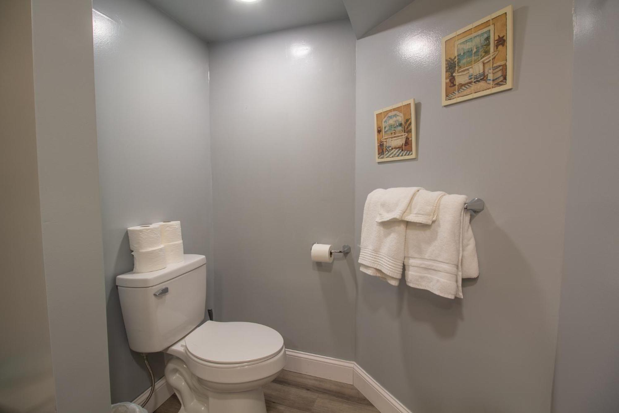 Stay In Ohiopyle In Town By The Gap Trail Extérieur photo